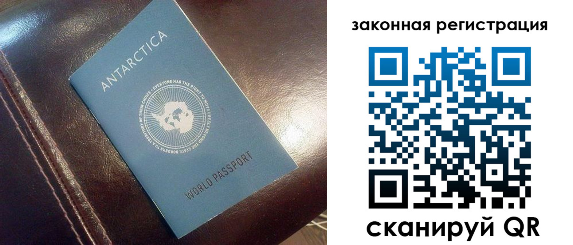 временная регистрация поиск в Алексеевке